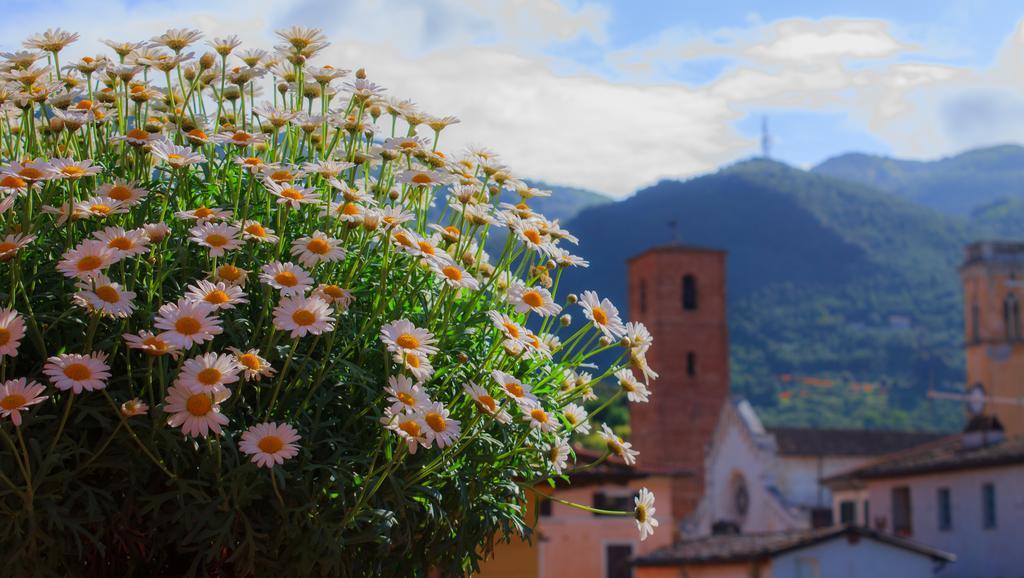 Hotel Palagi Pietrasanta Ruang foto